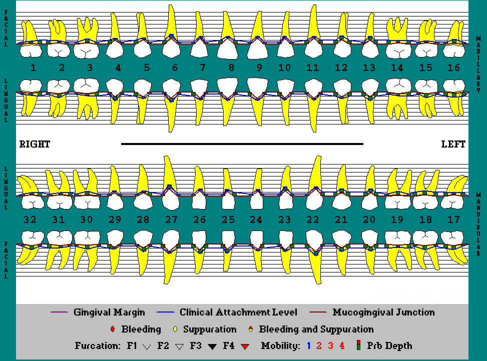 Viewing the graphic chart